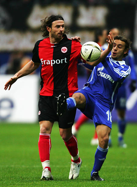 智慧与耐心 智慧与耐心