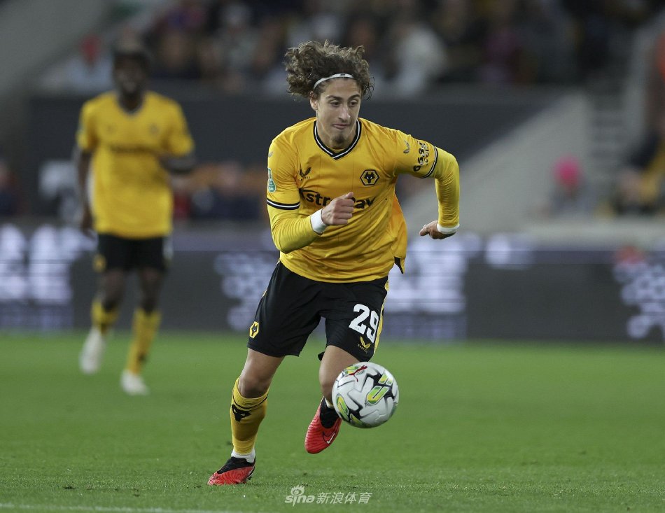 他们在本土 他们在本土